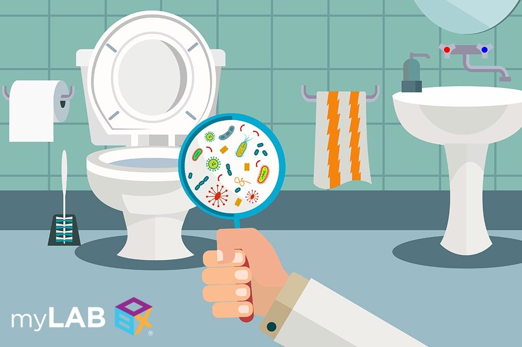 Can STDs be transmitted by toilet seats?